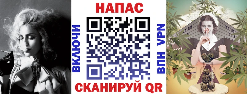 купить цена Ставрополь ссылка на мегу зеркало Каннабис SATIVA & INDICA